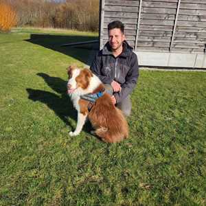 etienne, un entraîneur de chiens à Vannes