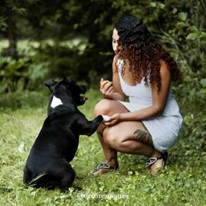 de LOR en pattes, un comportementaliste canin à Saverne