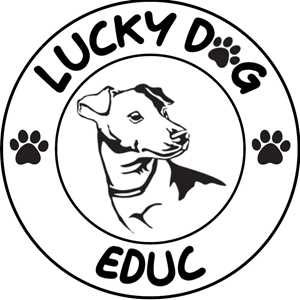 Lucille, un conseiller en éducation canine à Drancy