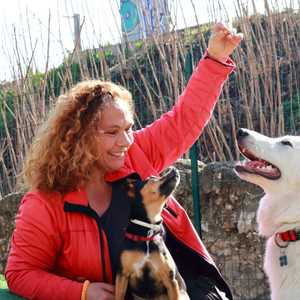 VM coach canin, un dresseur de chiens à Manosque