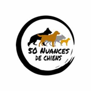 50 Nuances de chiens, un comportementaliste canin à Chaumont