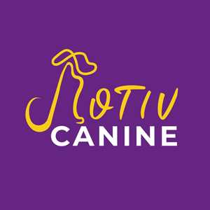 Motiv’Canine, un entraîneur de chiens à Manosque