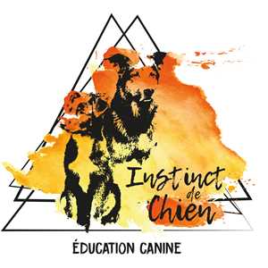 Instinct de Chien, un conseiller en éducation canine à Clermont-l'Hérault