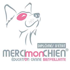 MerciMonChien, un dresseur de chiens à Uzès