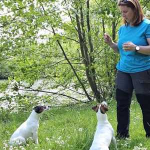 Ludivine , un dresseur de chiens à Drancy